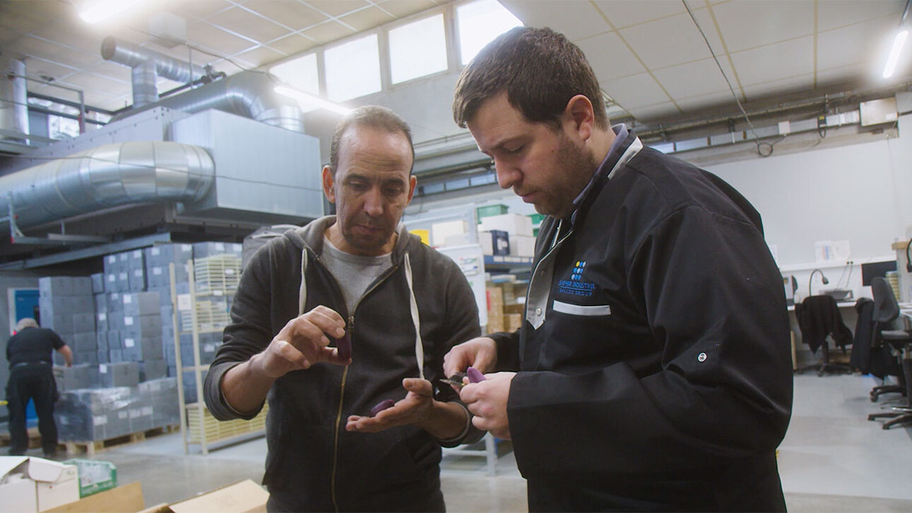 Responsabilité et confiance mutuelle pour la production de verres de montres de qualité